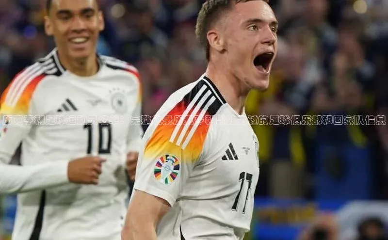 emc官网福石控股历克亨利足球运动员名单：完整收录历克亨利曾效力过的足球俱乐部和国家队信息