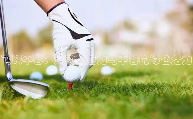 emc全站网页版百度教育飞跃平谷：运动的魅力与平谷的绿色活力