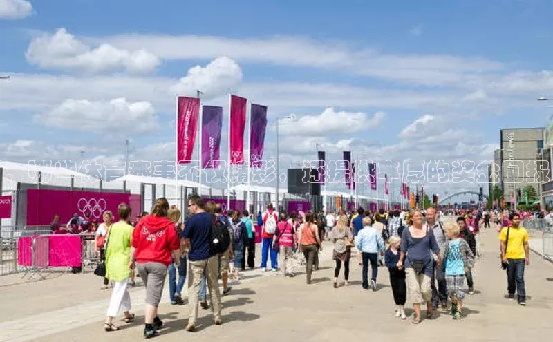 ：哪些体育赛事不仅精彩，还提供丰厚的奖金回报