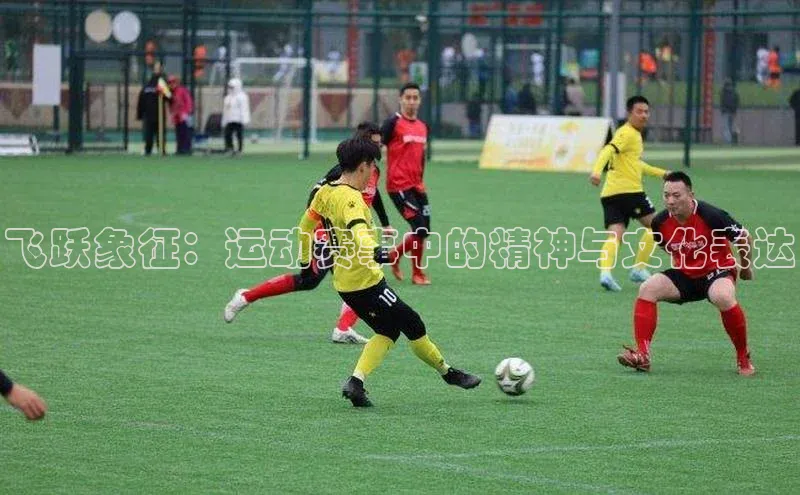 飞跃象征：运动赛事中的精神与文化表达