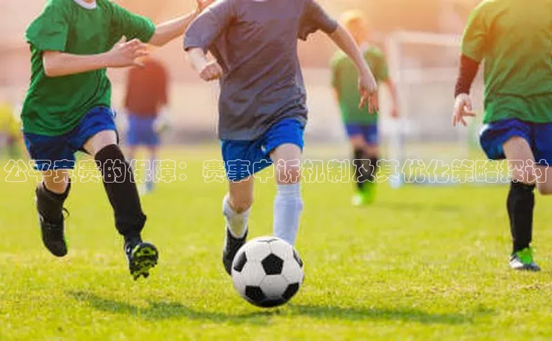 公平竞赛的保障：赛事申诉机制及其优化策略探讨