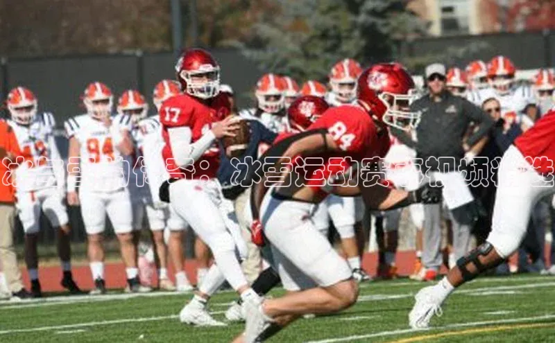 冰与雪的传奇：冰雪运动赛事视频精选