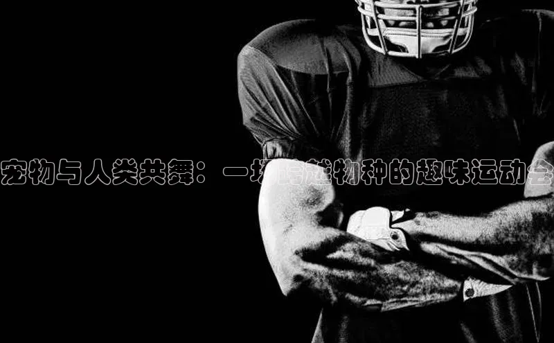 宠物与人类共舞：一场跨越物种的趣味运动会