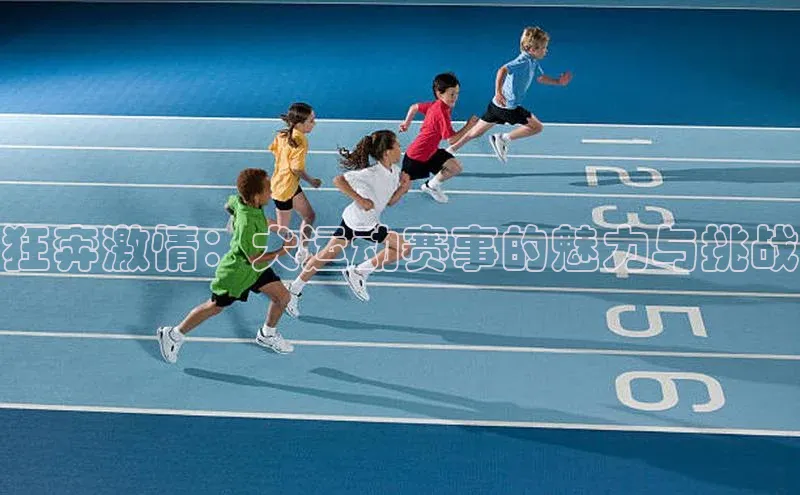 狂奔激情：犬运动赛事的魅力与挑战