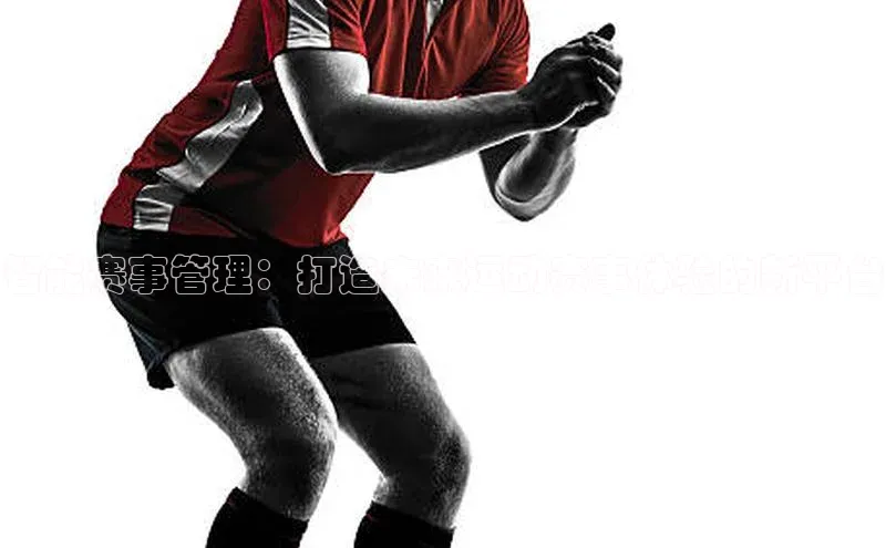 智能赛事管理：打造未来运动赛事体验的新平台