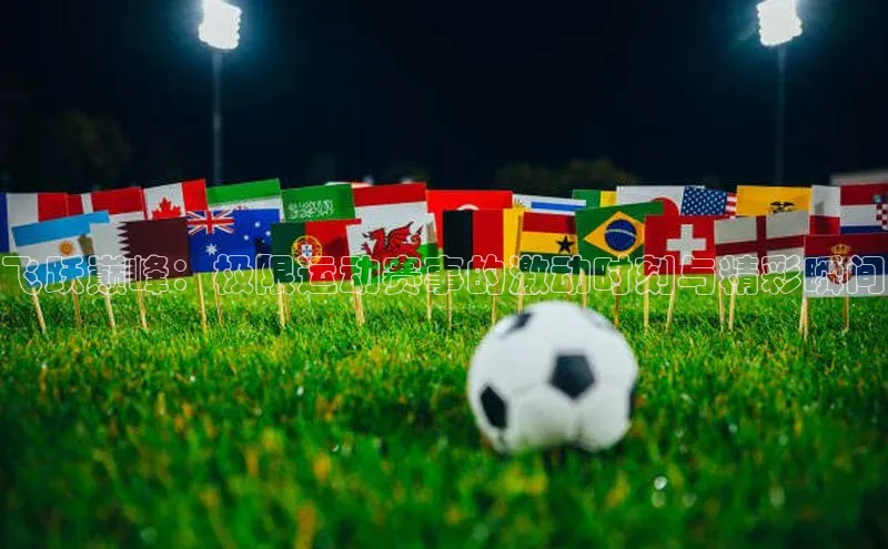 EMC体育官网入口