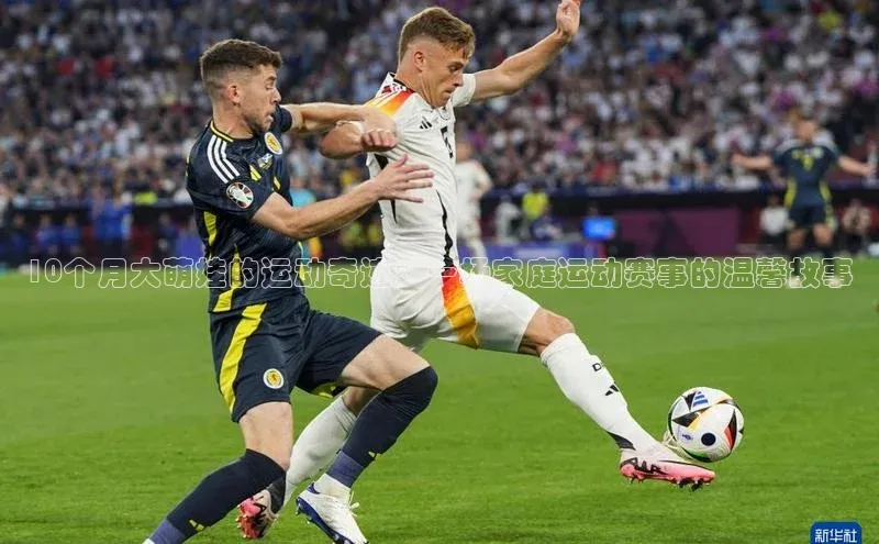 易倍emc官网首页进入