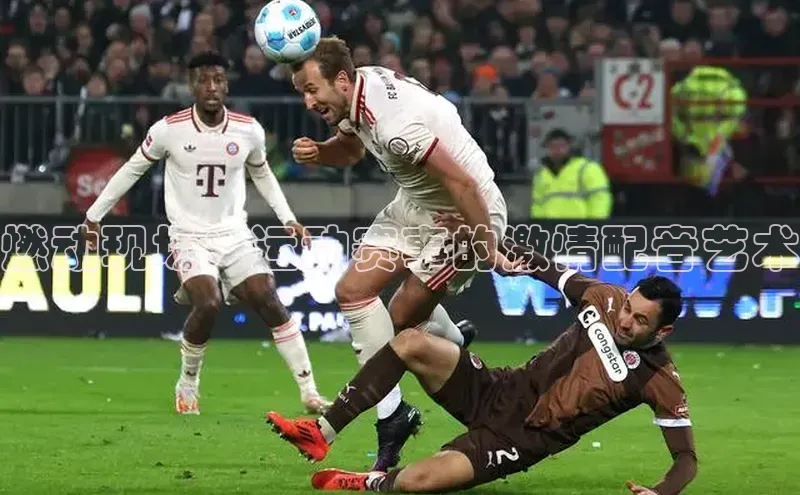 EMC体育平台网站入口