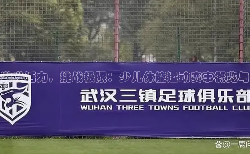 激发活力，挑战极限：少儿体能运动赛事概览与